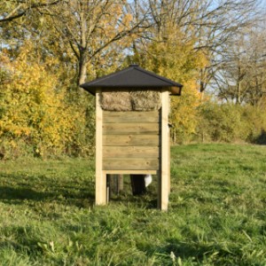 Eben gucken an der Rückseite von Stall Rosanne