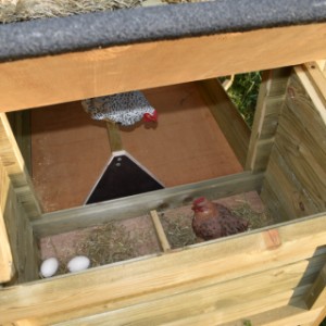 Das Legenest von Hühnerstall Rosanne ist ausgestattet mit ein Klapppdach