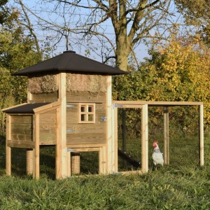 Hühnerstall Heuhaufen Rosanne mit Legenest und Anbau-Auslauf 300x114x180cm