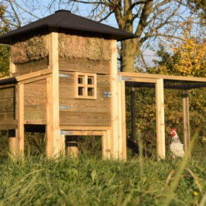 Der Heuhaufen Rosanne ist ein Erwerb für Ihre Garten!