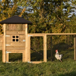 Der Stall Rosanne ist geeignet für 3 bis 5 Hühner