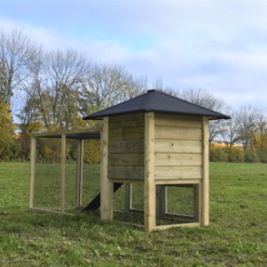 Kaninchenstall Rosy ist ein Erwerb für Ihre Garten