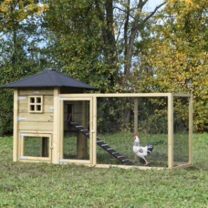 Der Stall aus Holz Rosy hat viele Möglichkeiten zum erweitern