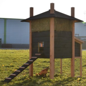 Der Stall Rosalynn hat ein Öffnung für den Hühner von 22x26cm