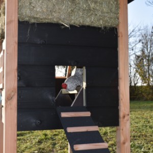 Der Leiter ist ausgestattet mit schwarze Dachpappe