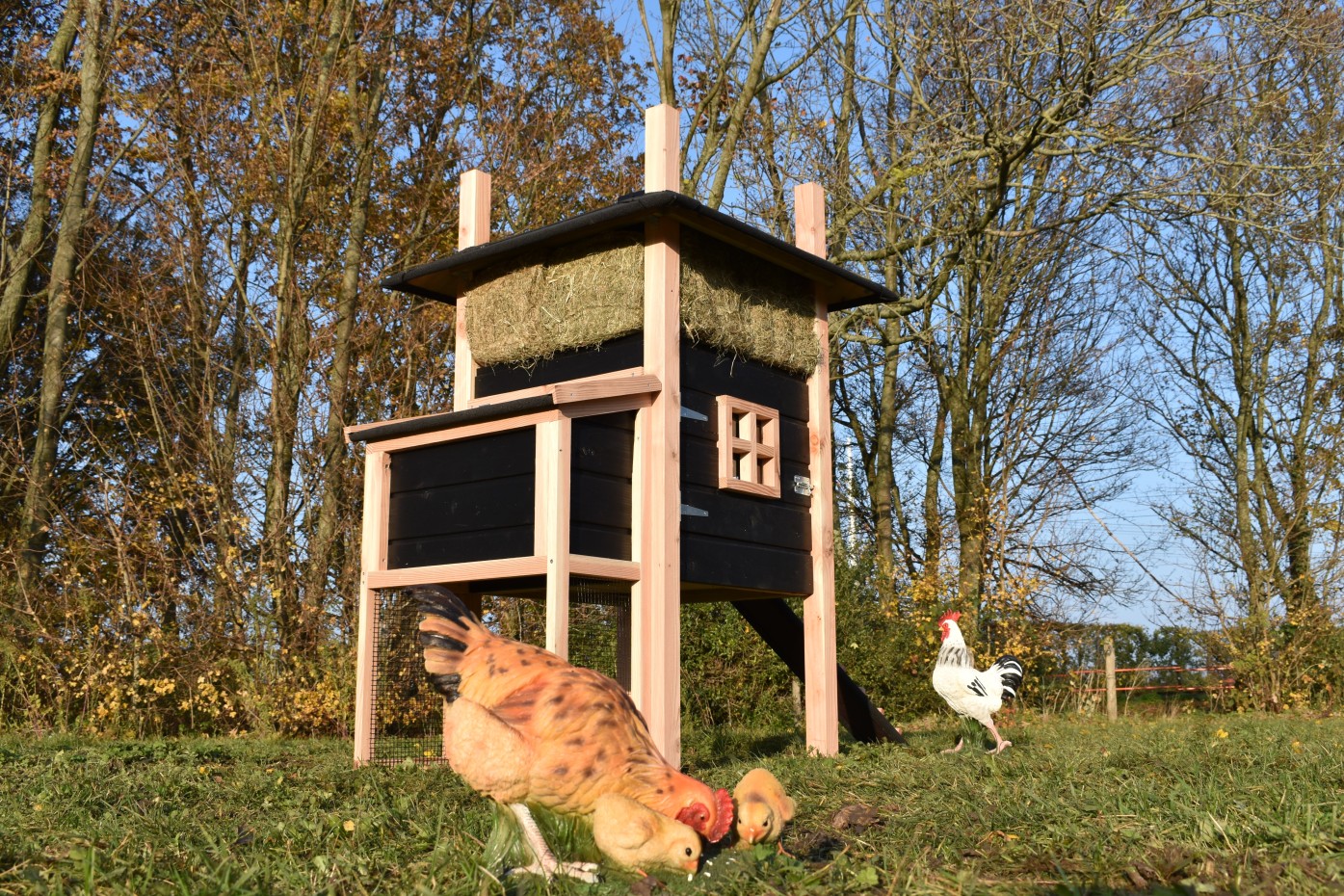 Hühnerstall Heuhaufen Rosalynn
