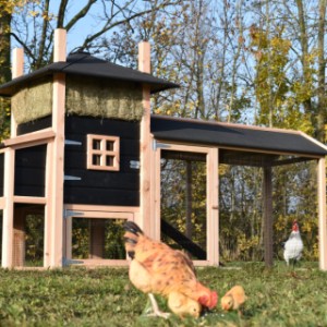 Der Hühnerstall Rosalynn ist ein Erwerb für Ihre Garten!