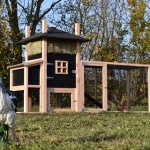 Der Heuhaufen Rosalynn ist erweitert mit ein Anbau-Auslauf