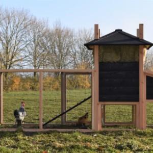 Eben gucken an der Rückseite von Heuhaufen Rosalynn