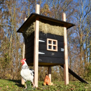 Der Hühnerstall Rosalynn ist ein Erwerb für Ihre Garten!