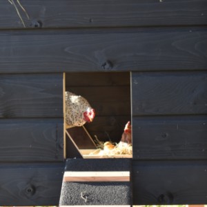 Der Stall hat ein große Öffnung für Ihre Hühner