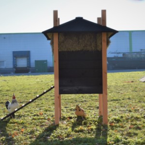 Der Hühnerstall Rosalynn ist ausgestattet mit ein länge Leiter