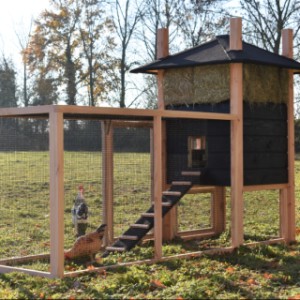 Der Hühnerstall ist ausgestattet mit Douglasienholz
