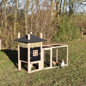 Der Heuhaufen Rosalynn ist ein Erwerb für Ihre Garten!
