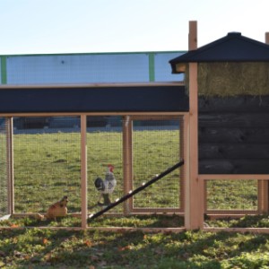 Eben gucken an der Rückseite von Heuhaufen Rosalynn