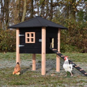 Der Stall Rosy ist geeignet für 3 bis 5 Hühner