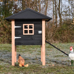 Der Schlafraum von der Stall Rosy ist ausgestattet mit ein Fenster