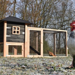 Der Hühnerstall Rosy ist ein Erwerb für Ihre Garten