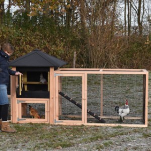 Der Hühnerstall Rosy ist ausgestattet mit ein groß Schlafraum