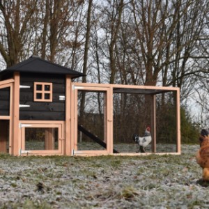 Der Hühnerstall Rosy ist ein Erwerb für Ihre Garten