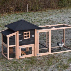 Hühnerstall Rosy mit Legenest und Anbau-Auslauf 300x114x145cm