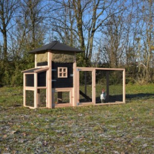 Hühnerstall Heuhaufen Rosanne mit Legenest und Anbau-Auslauf 300x114x180cm