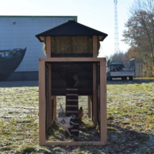 Eben gucken in der Auslauf von Heuhaufen Rosanne