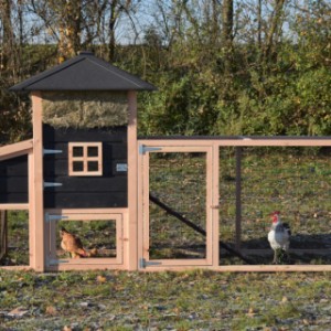 Der Hühnerstall Rosanne ist erweitert mit ein Anbau-Auslauf
