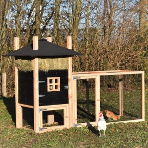 Hühnerstall Heuhaufen Rosalynn mit Anbau-Auslauf 272x114x180cm
