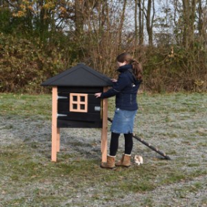 Das Dach ist ausgestattet mit schwarze Dachpappe