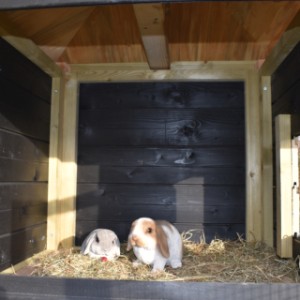 Der Schlafraum von Kaninchenstall Rosy ist geeignet für 2 bis 4 Kaninchen