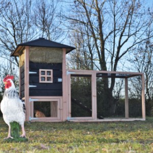 Der Hühnerstall Rosanne ist ein Erwerb für Ihre Garten