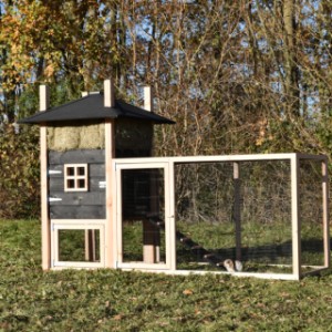Der Anbau-Auslauf ist ausgestattet mit schwarzes Gitter