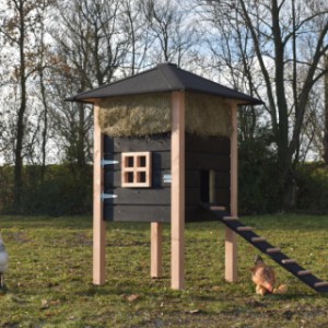 Der Heuhaufen Rosanne ist ein Erwerb für Ihre Garten