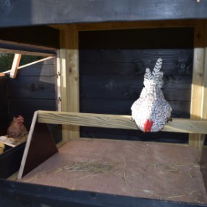 Der große Schlafraum ist geeignet für 3 bis 5 Hühner