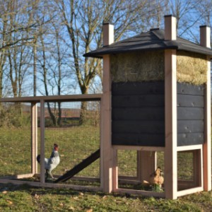 Der Heuhaufen Rosa ist herstellt aus Douglasien und schwarz holz