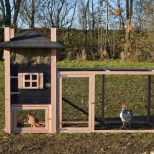 Der Hühnerstall Rosa ist erweitert mit ein Anbau-Auslauf