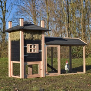 Hühnerstall Heuhaufen Rosa mit überdachte Auslauf 283x114x180cm