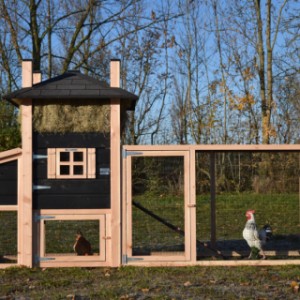 Der Heuhaufen Rosa ist erweitert mit ein Legenest und ein Anbau-Auslauf