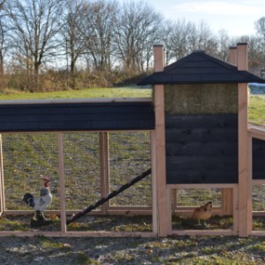 Eben gucken an der Rückseite von Heuhaufen Rosa