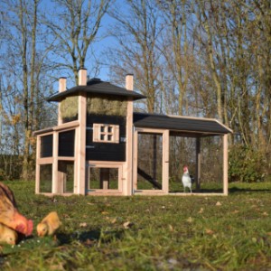 Der Heuhaufen Rosa bietet ein schöne Platz für Ihre Hühner!