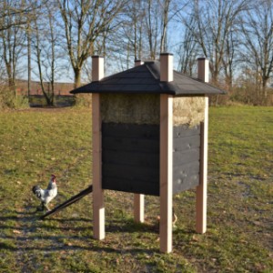 Eben gucken an der Rückseite von Heuhaufen Rosa