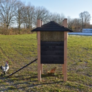 Der Hühnerstall ist ausgestattet mit Douglasien Pfahlen von 9x9cm