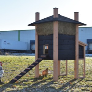 Der Stall Rosa ist herstellt aus schwarz imprägniertes Fichtenholz und Douglasienholz