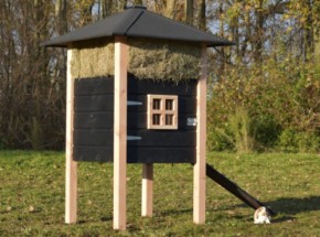 Kaninchenstall Heuhaufen Rosanne Douglasien/schwarz 114x114x180cm