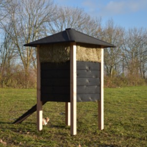 Eben gucken nach der Rückseite von Stall Rosanne