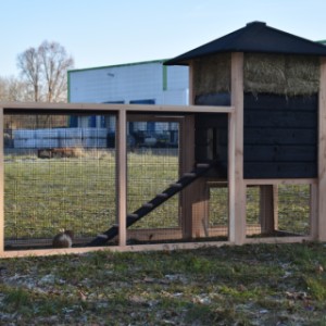 Der große Auslauf bietet viel Platz für Ihre Kaninchen