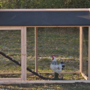 Der Anbau-Auslauf ist geeignet für die Heuhaufen Rosa, Rosanne und Rosalynn