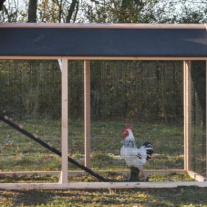 Der Anbau-Auslauf ist ausgestattet mit schwarze Dachpappe