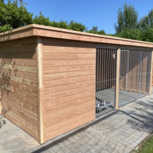 Der Hundezwinger hat die Abmessungen von etwa 5x2m